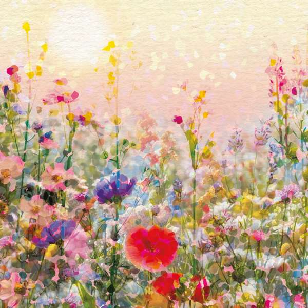 SUNSET FIELDS