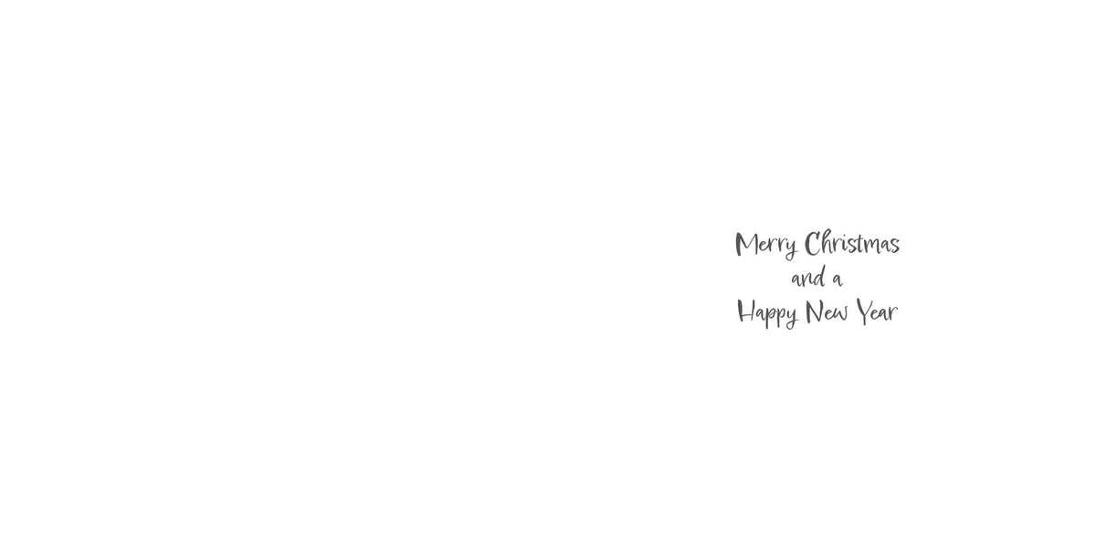 Luxury Christmas Cards - Doorstep