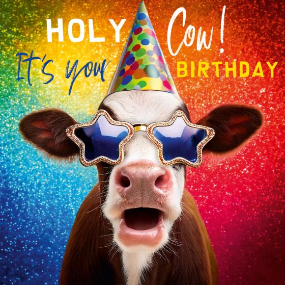 HOLY COW