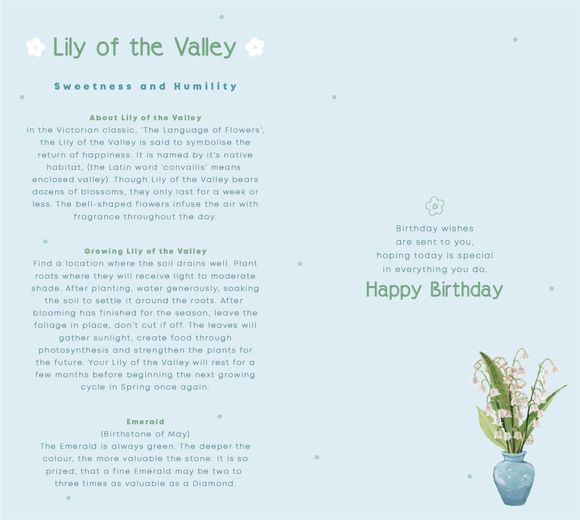 Bday 05 May 2025