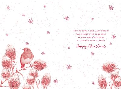 SPECIAL FRIEND ROBIN/THISTLES