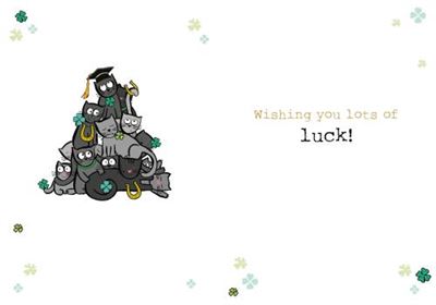 (GLU) BLACK CAT PILE