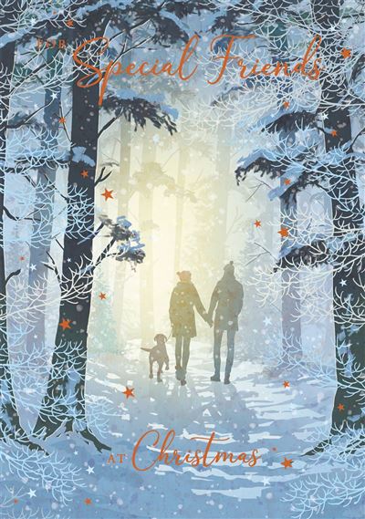 SPECIAL FRIENDS WINTER WALK