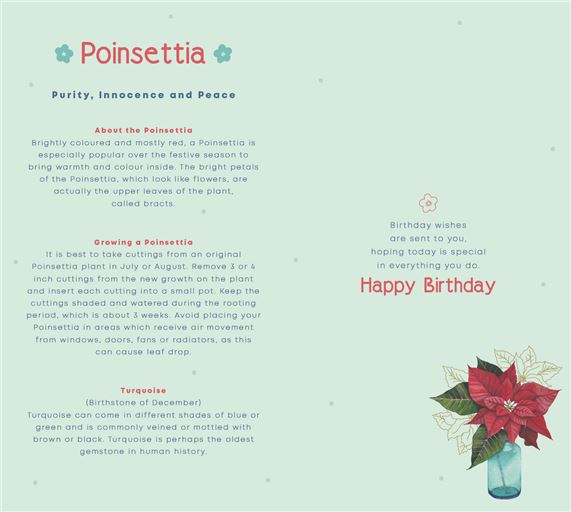 Bday 12 December 2025