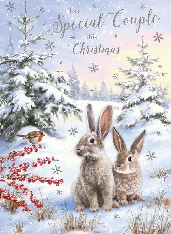 77-SPECIAL COUPLE-HARES IN THE SNOW
