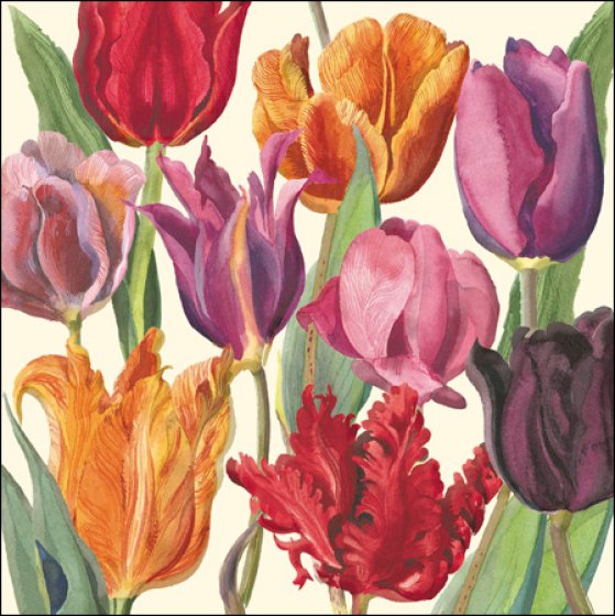 TULIPS
