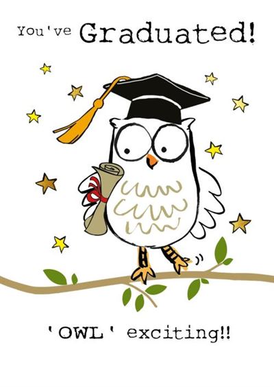 (GDC) GRAD OWL
