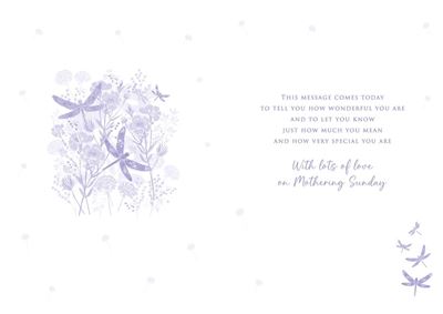 (MGE) WOODLAND DRAGONFLIES