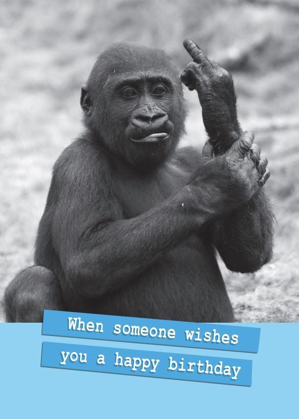 HAPPY BIRTHDAY WISHES