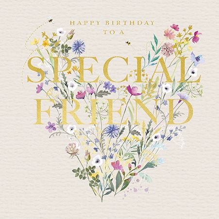 SPECIAL FRIEND