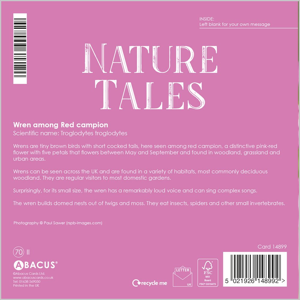 WREN AMONG RED CAMPION
