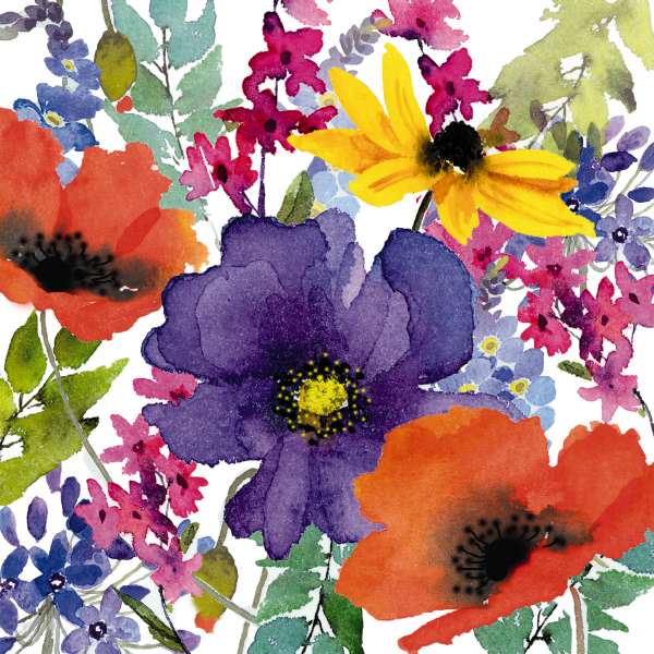 PKT S01-COLOURFUL BLOOM