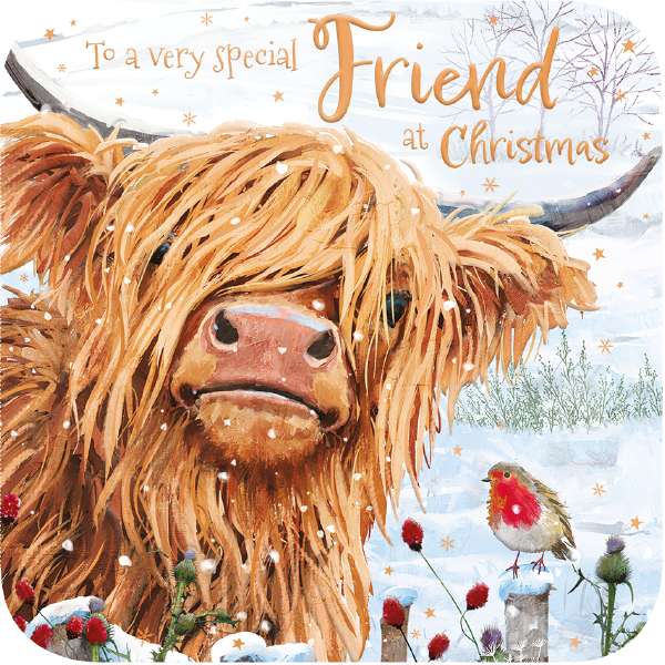 SPECIAL FRIEND - HIGHLAND COW & ROBIN