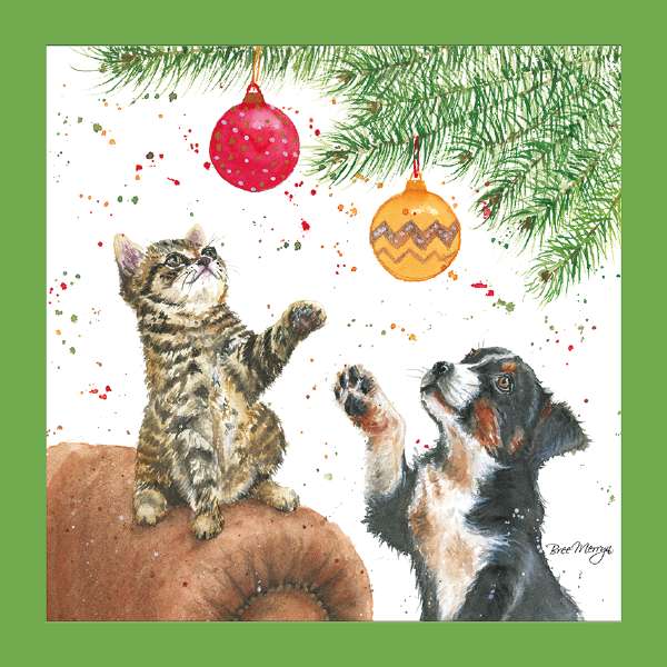 TIGGER & TROOPER - BREE MERRYN