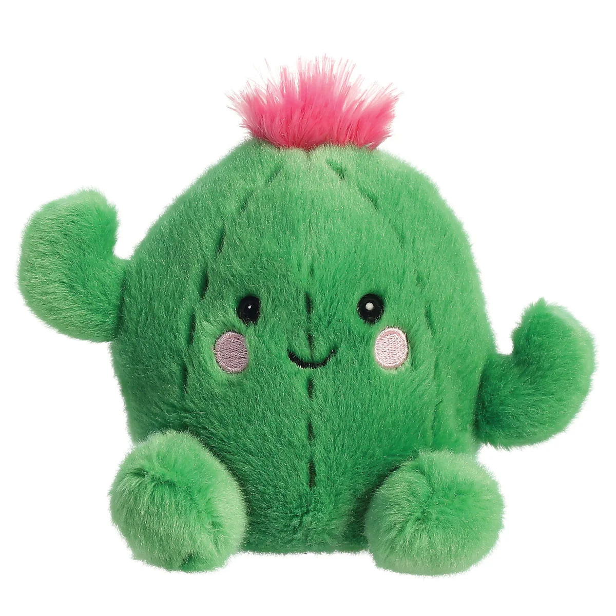 PRICKLES CACTUS PALM PALS
