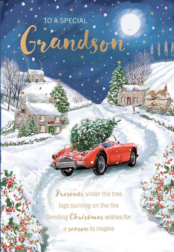 GRANDSON TREE IN RED CAR