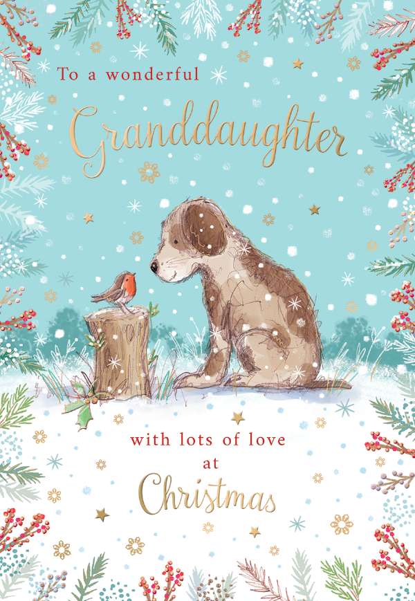 GRANDDAUGHTER - DOG & ROBIN