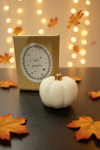 HELLO PUMPKIN TOKEN
