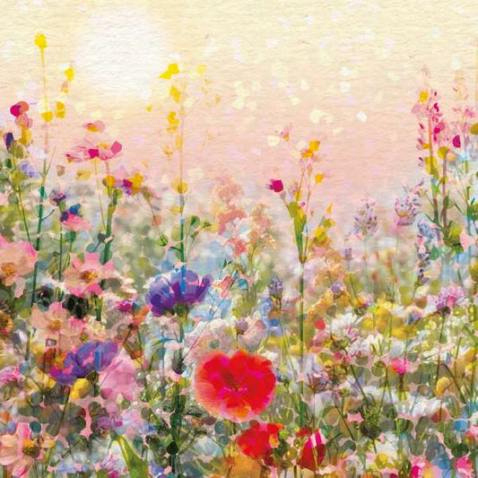 SUNSET FIELDS