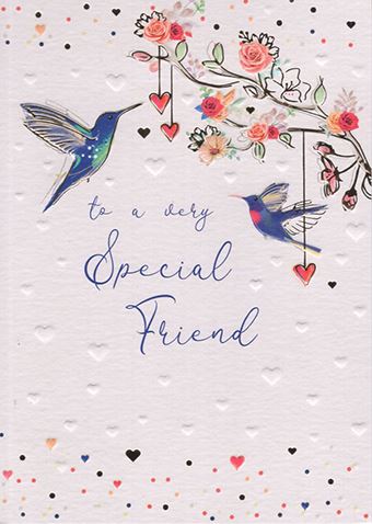 SPECIAL FRIEND