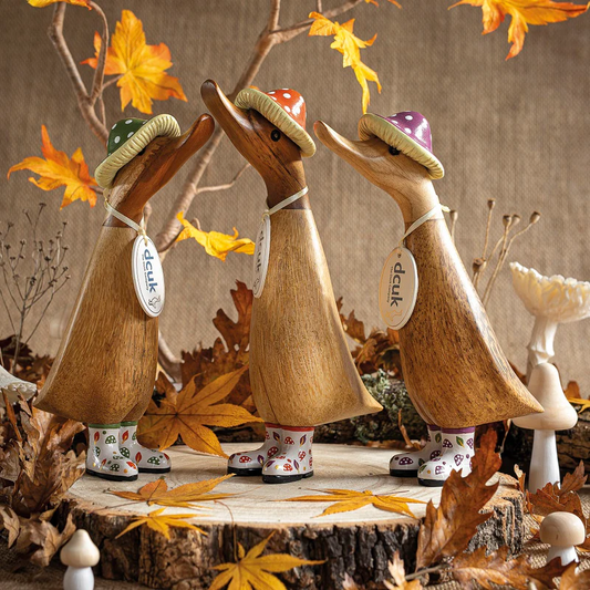 DCUK Autumn Ducklings