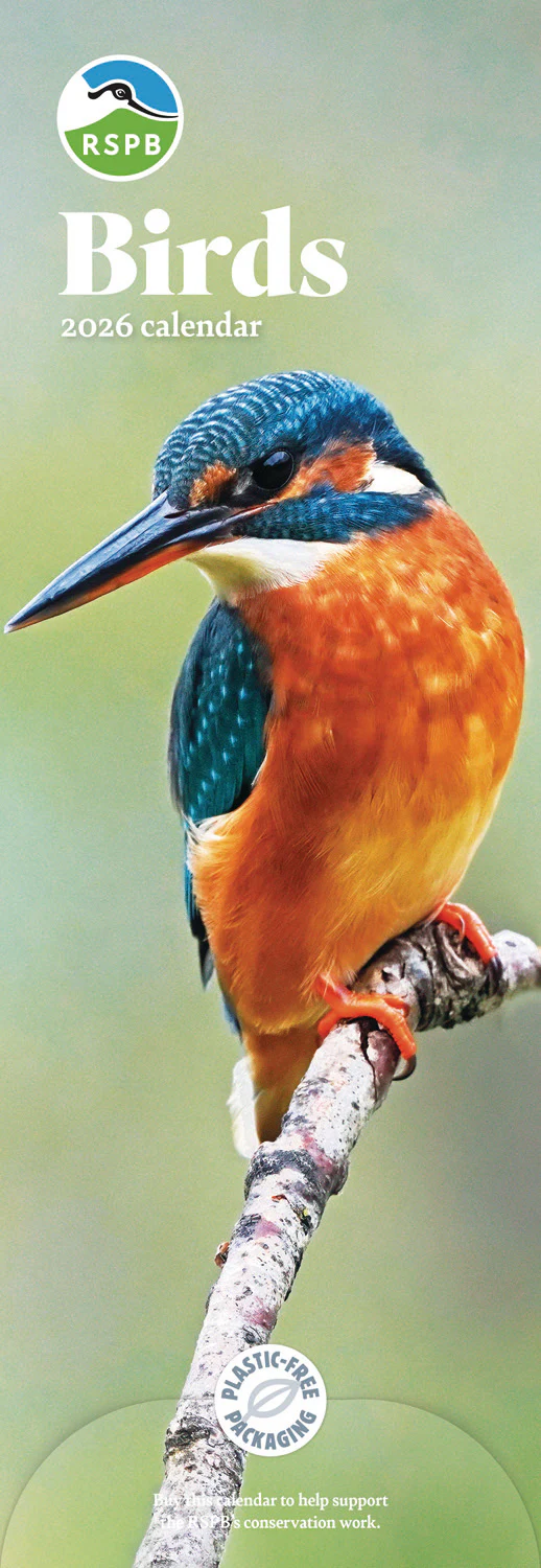 RSPB Birds Slim Calendar 2026 (PFP)