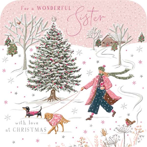 SISTER - SNOWY DOG WALK