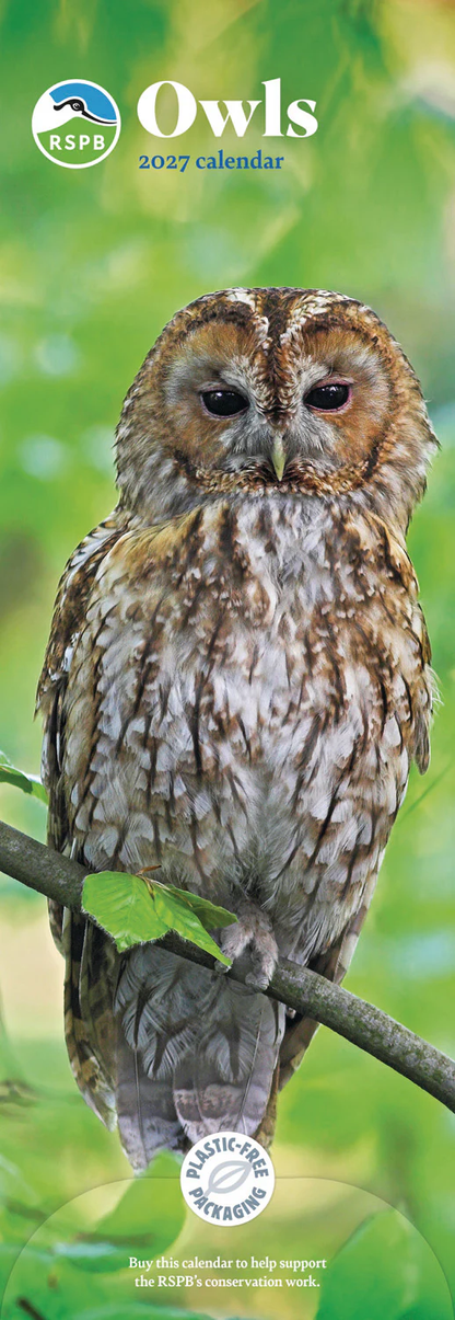 Owls RSPB Slim Calendar 2027