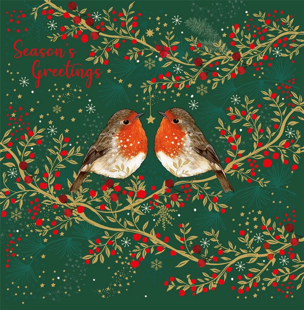 ROBINS BOXED CARDS