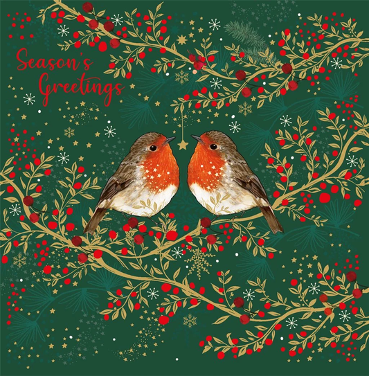 ROBINS BOXED CARDS