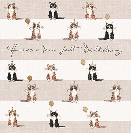 SOPHIE ALLPORT - PURRFECT BIRTHDAY