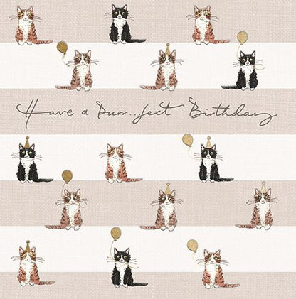 SOPHIE ALLPORT - PURRFECT BIRTHDAY