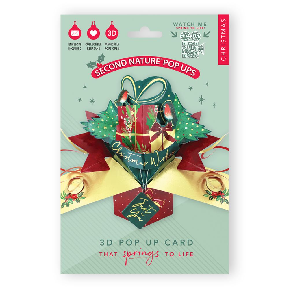 XMAS GIFT WITH ROBIN POP UP CARD