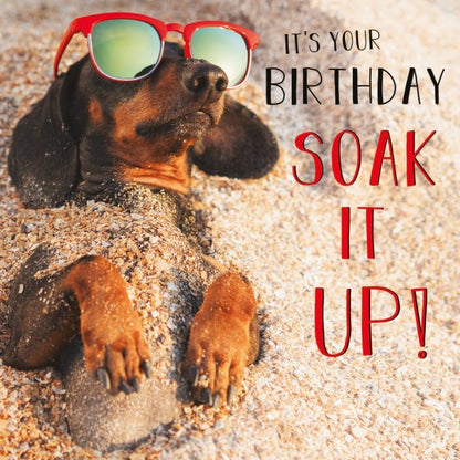 SOAK IT UP!