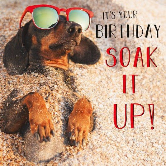 SOAK IT UP!