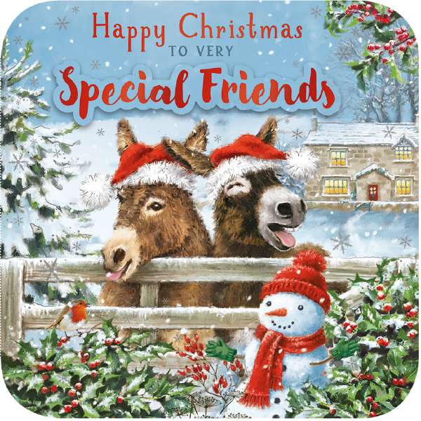 SPECIAL FRIENDS - DONKEYS & SNOWMAN