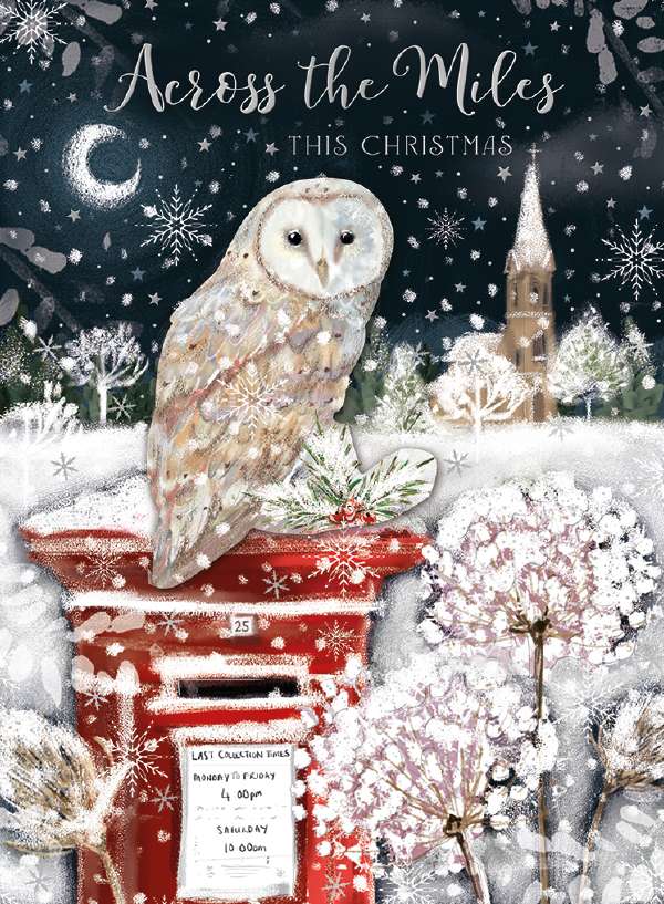 ACROSS THE MILES OWL ON POSTBOX