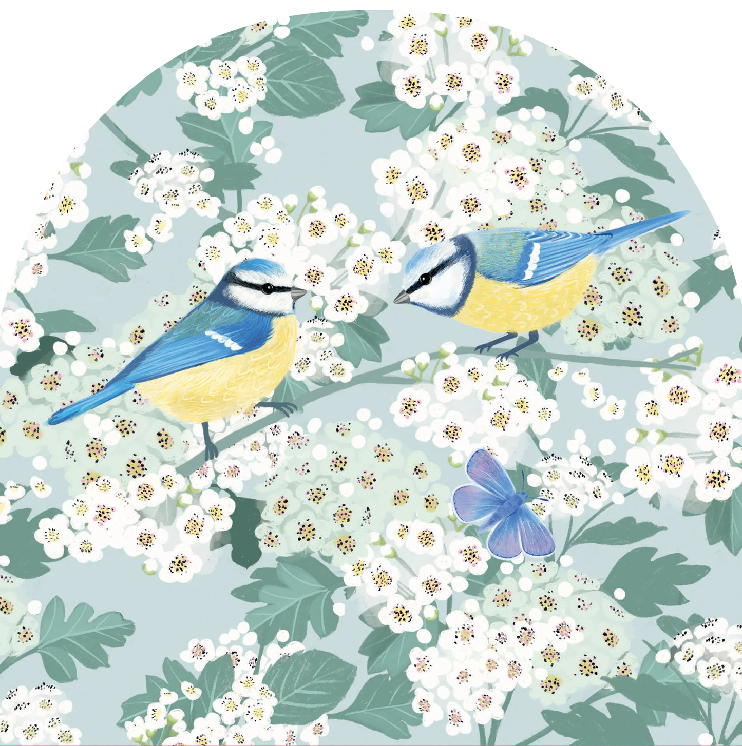 RSPB WHITE BLOSSOM CARD - Blue Tits & Hawthorn