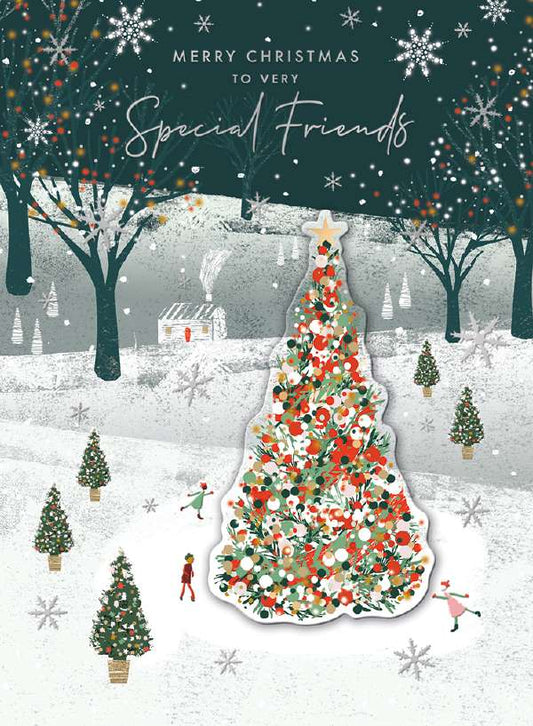 SPECIAL FRIENDS - WINTER SKATING