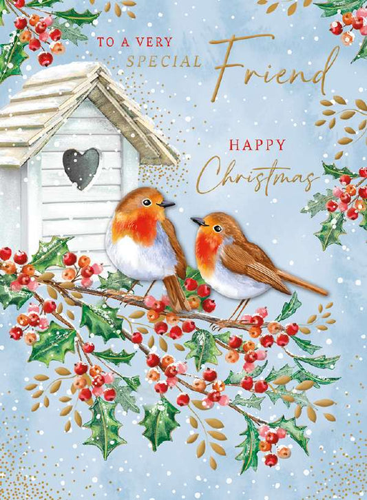SPECIAL FRIEND - TWO ROBINS