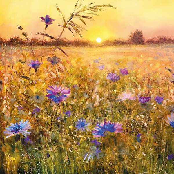 SUNSET DREAM