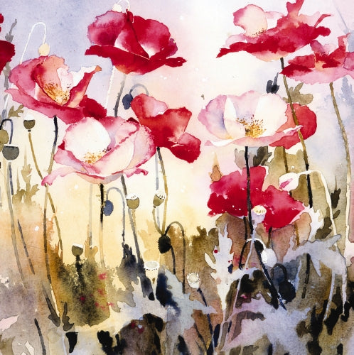 PKT S08 POPPIES