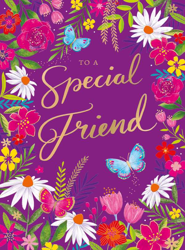 SPECIAL FRIEND