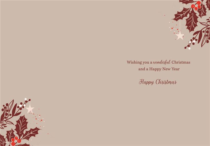 Xmas To Neighbour