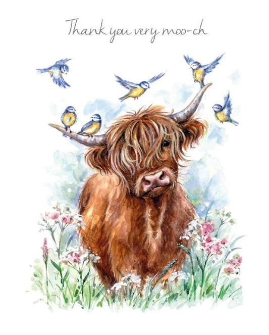 PKT 10 HIGHLAND COW