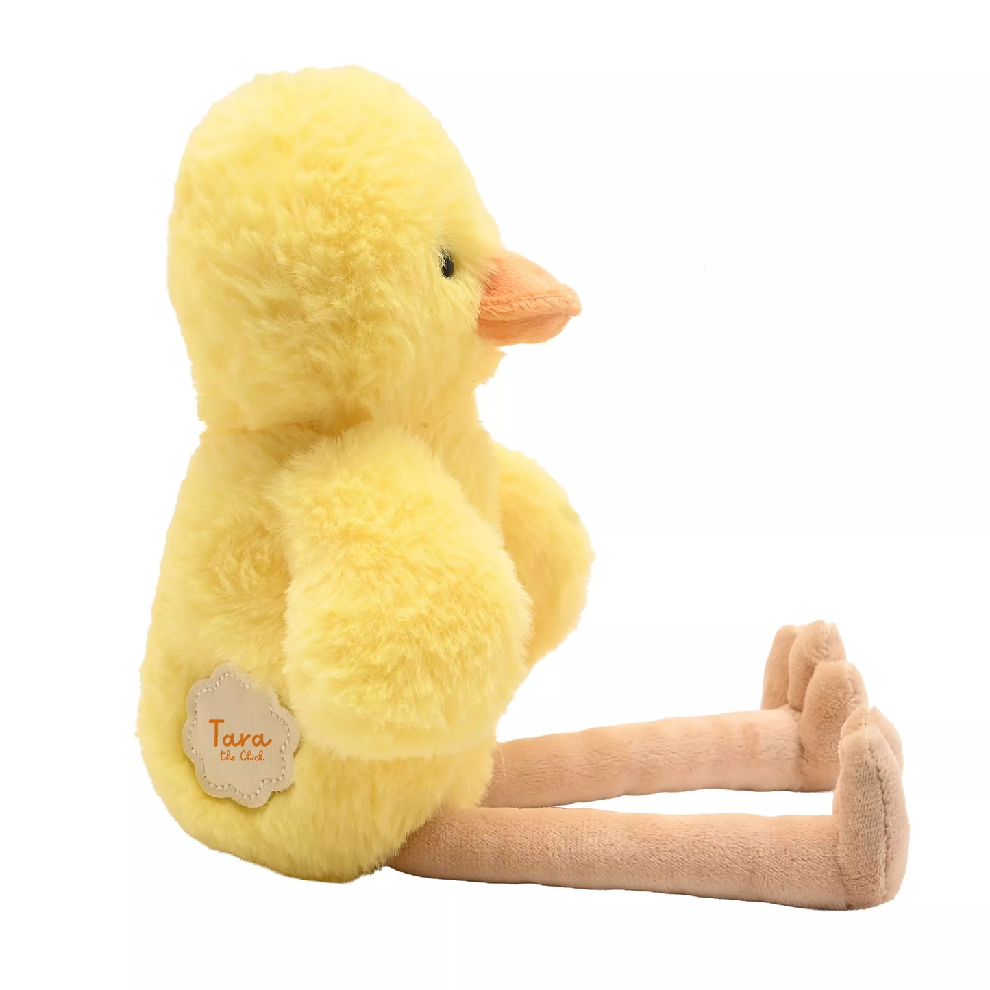 TARA THE CHICK