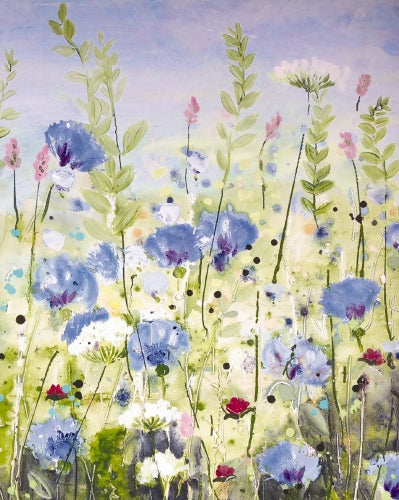 PKT 28 MEADOW