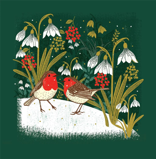 ROBIN & SNOWDROPS BOXED CARDS