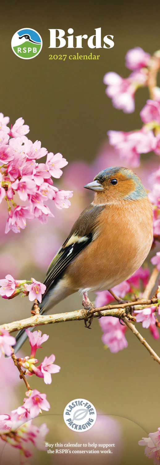 Birds RSPB Slim Calendar 2027
