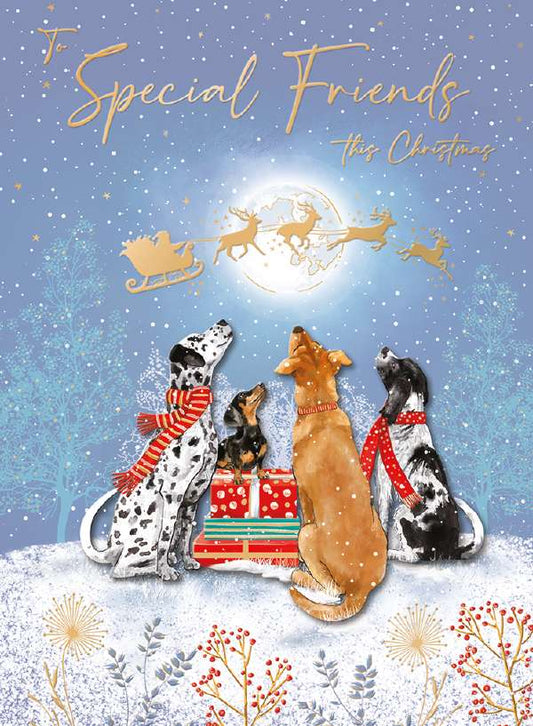 SPECIAL FRIENDS - DOGS WATCHING SANTA